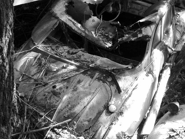 Autofriedhof - 035.JPG - Historischer Autofriedhof,    Gürbetal (CH)